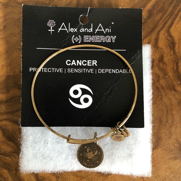 Alex and Ani cancer bracelet - Picture 1 of 3